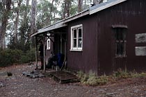 Narcissus Hut